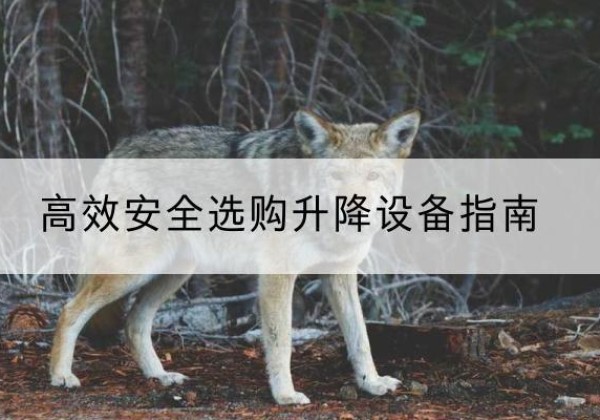 罗定升降货梯厂家推荐-*安全选购升降设备指南