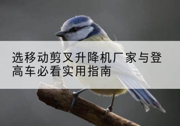 罗定电动升降机厂家-选移动剪叉升降机厂家与登高车必看实用指南