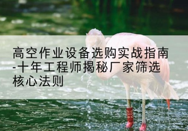 罗定剪叉式升降机厂家-高空作业设备选购实战指南-十年工程师揭秘厂家筛选核心法则